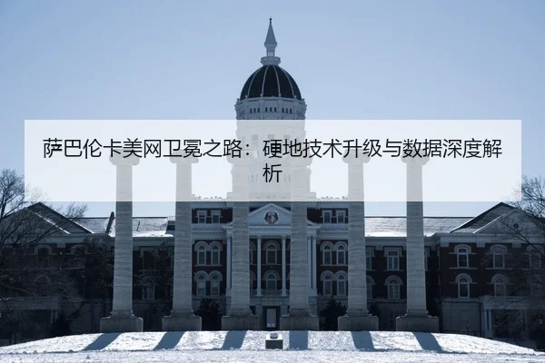 sa-ba-lun-ka-mei-wang-wei-mian-zhi-lu-ying-di-ji-shu-sheng-ji-yu-shu-ju-shen-du-jie-xi-2-507.jpg