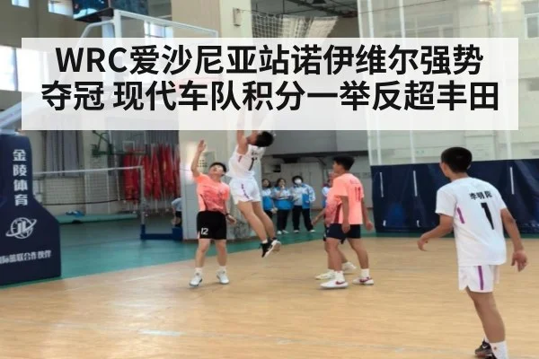 WRC爱沙尼亚站诺伊维尔强势夺冠 现代车队积分一举反超丰田