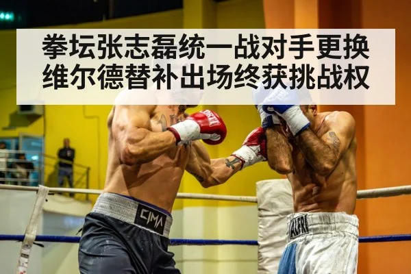 拳坛张志磊统一战对手更换维尔德替补出场终获挑战权